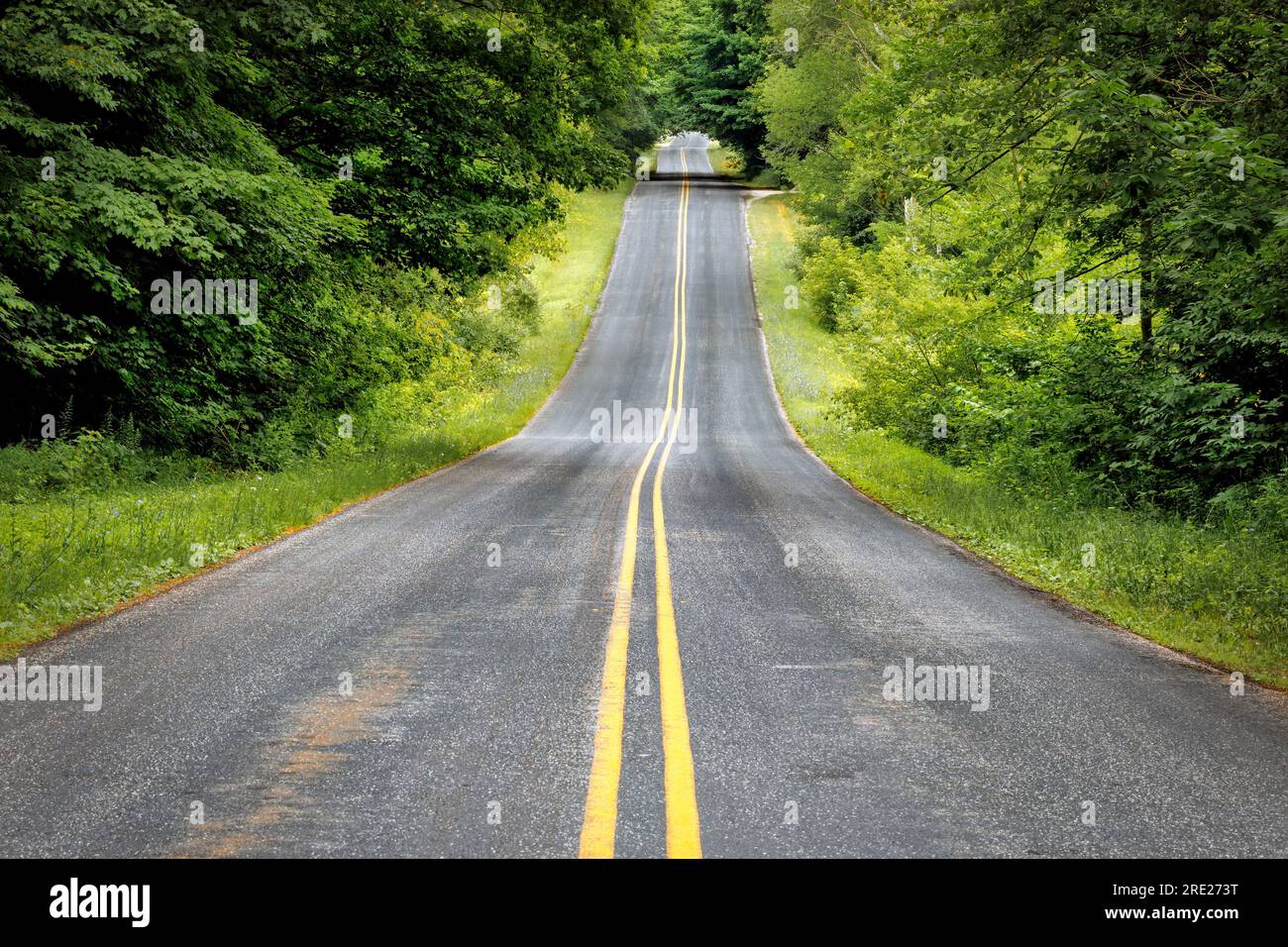 Blick auf die bewaldeten Hügel auf der Spring Lake Road in der Nähe von School Hill, Wisconsin und südlich von Manitowoc. Stockfoto