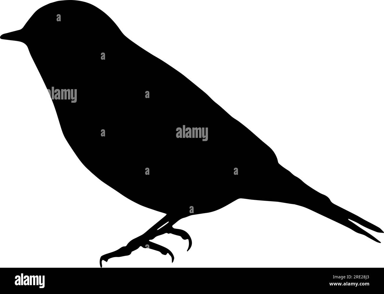 Silhouette des Ostblauvogels in schwarz isoliert Stock Vektor