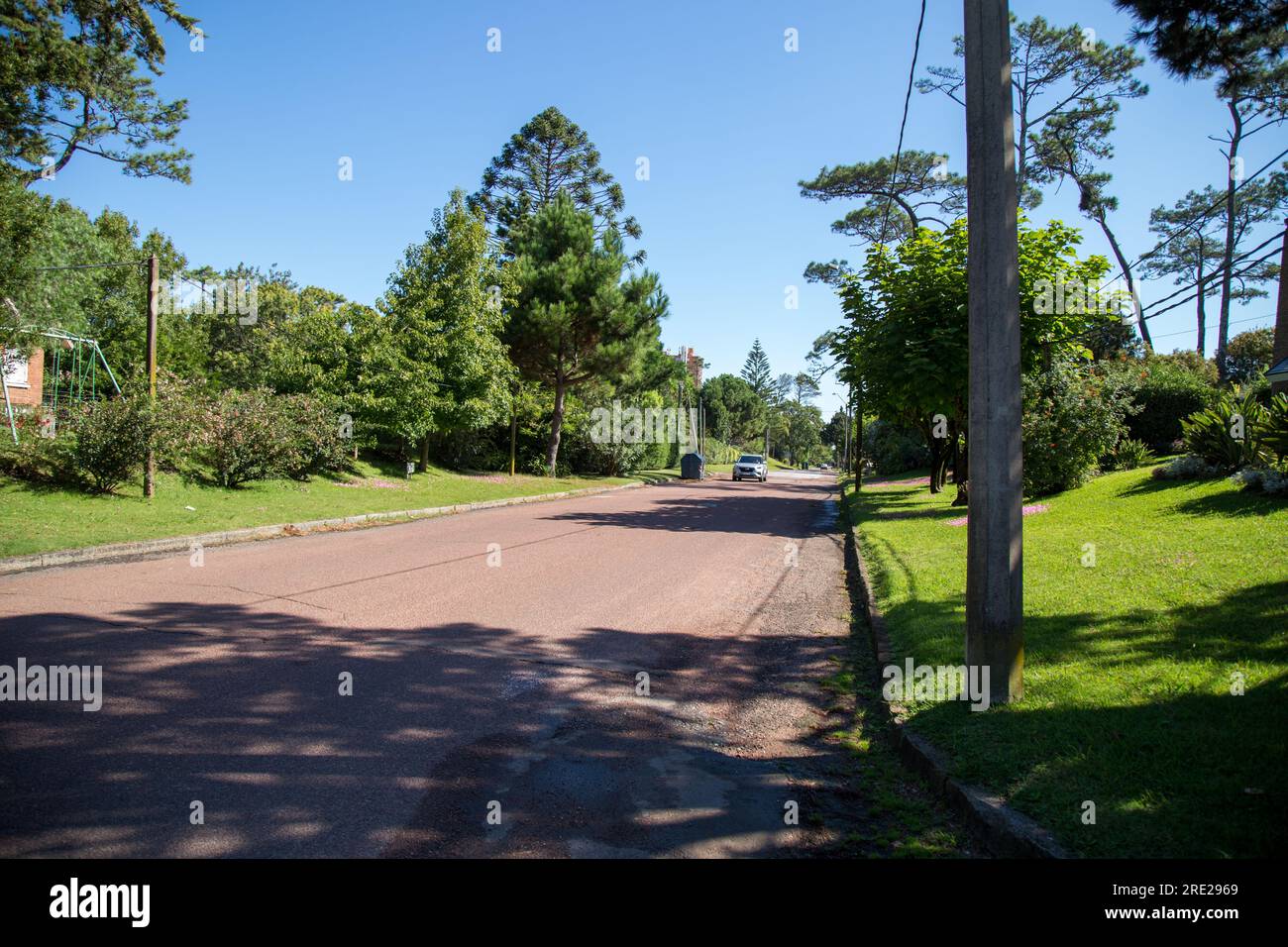 Ruhige und von Bäumen gesäumte Wohnstraße in Punta del Este, Uruguay, bietet eine ruhige und friedliche Atmosphäre. Stockfoto