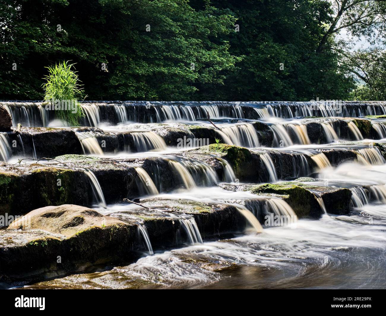 Ein wunderschönes Wehr über die Wharfe bei Burley-in-wharfedale in England. Stockfoto
