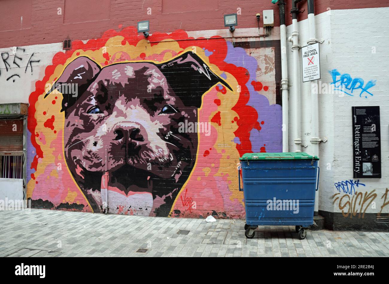 Gemälde eines Hundekopfes von Tim McCarthy am Pottingers Eingang im Stadtzentrum von Belfast Stockfoto