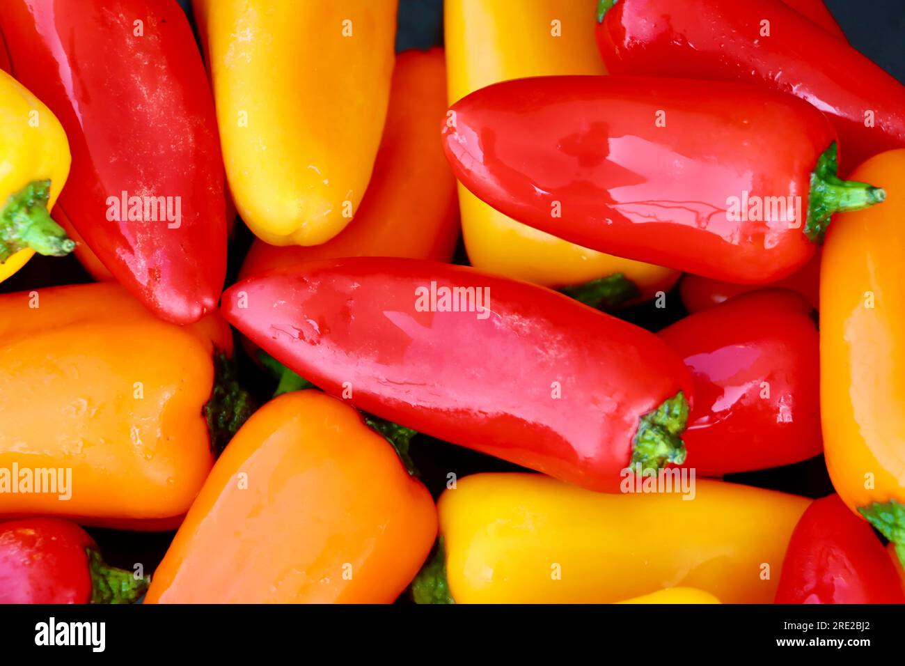 Nahaufnahme von mehrfarbigen Mini-Paprika. Stockfoto