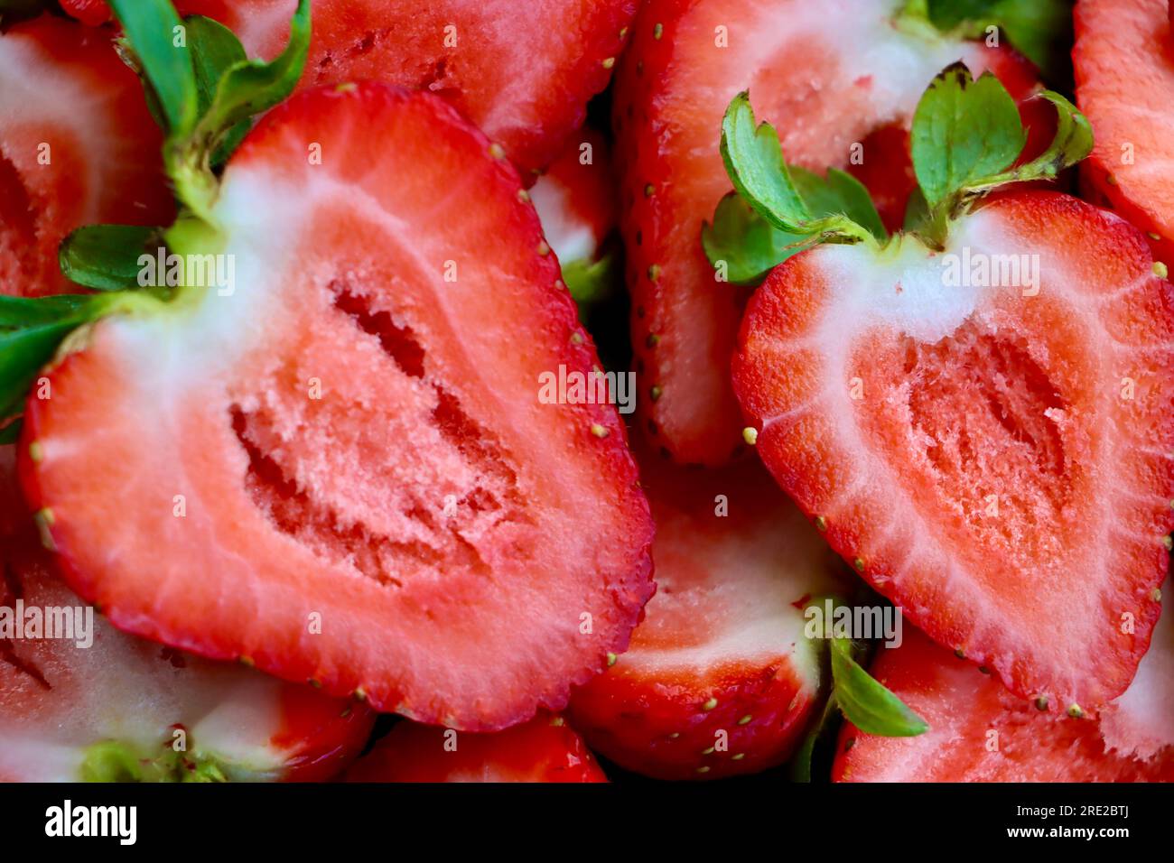 Erdbeeren (Fragaria x ananassa). Stockfoto