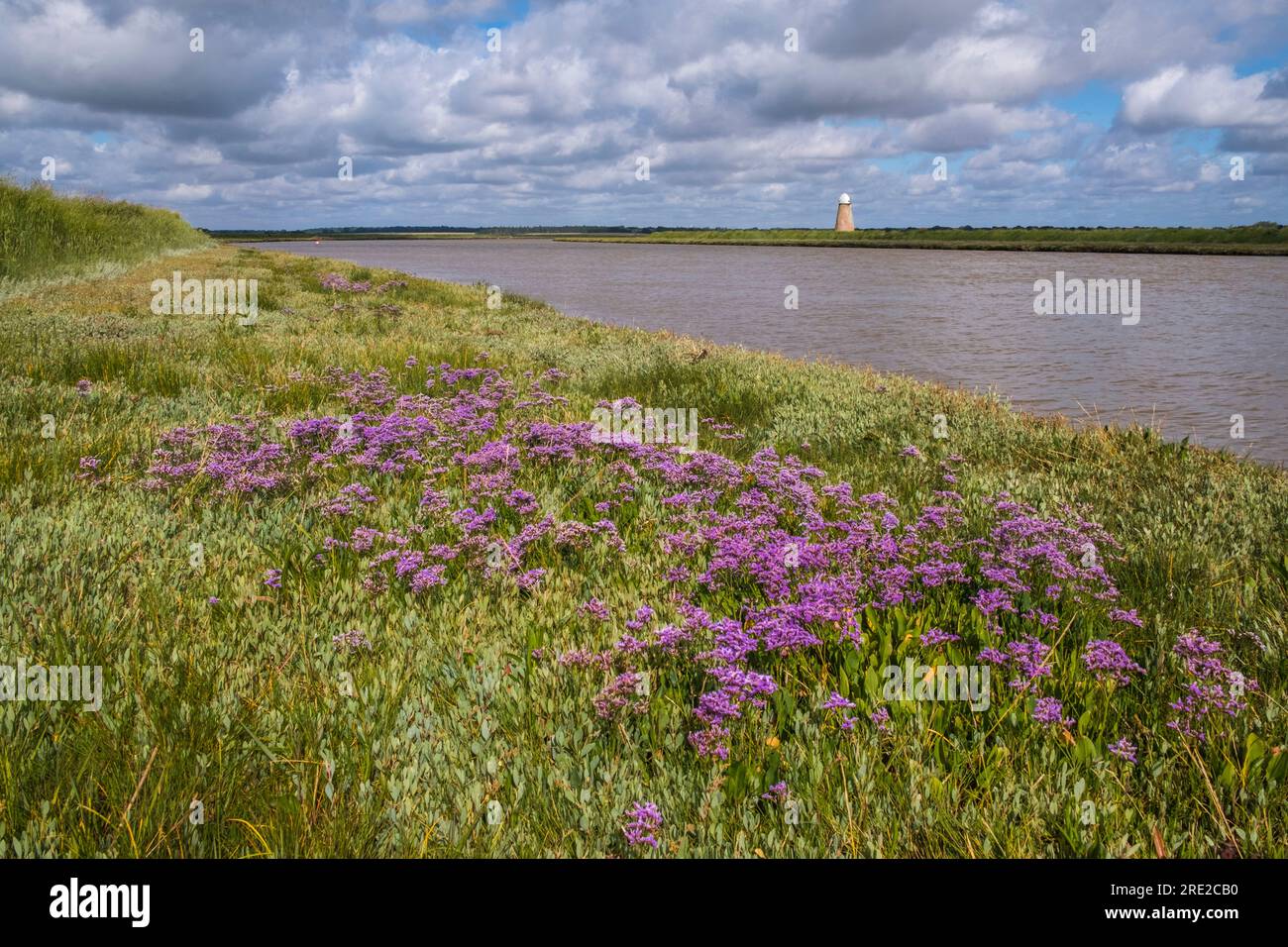 Lavendel, Limonium Vulgare an der Mündung auf der Walberswick-Seite des Flusses Blyth. Southwold und windbetriebene Entwässerungspumpe am rechten Ufer. Stockfoto