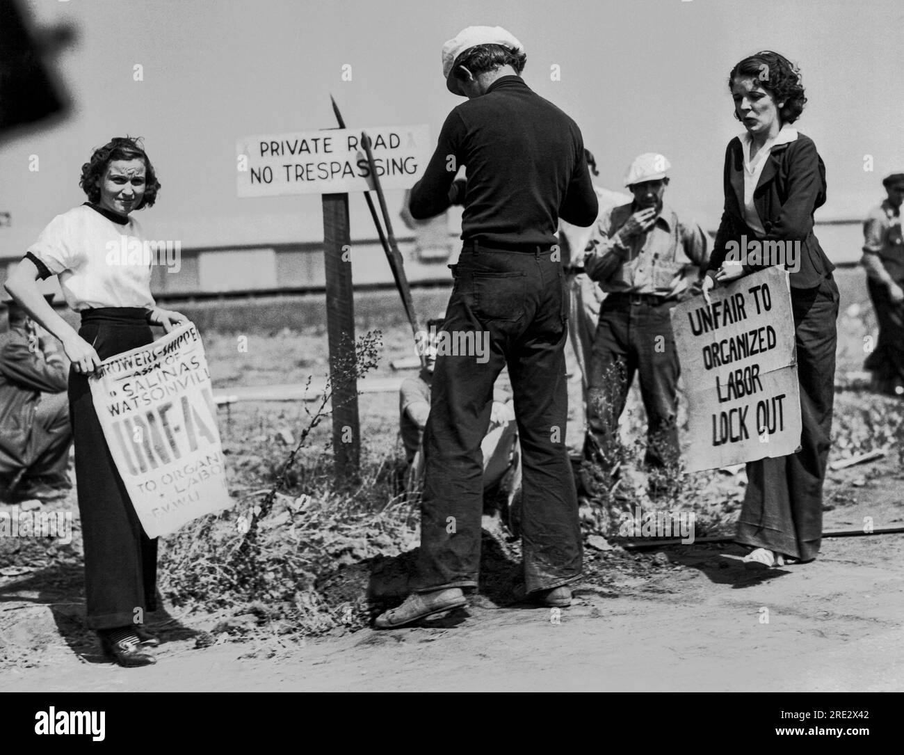 Salinas, Kalifornien: 25. September 1936 zwei Frauen bewarben einen Firmenmann, der ein Loch im Zaunpfahl gräbt, um eine Salatverarbeitungsanlage zu verbarrikadieren. Stockfoto