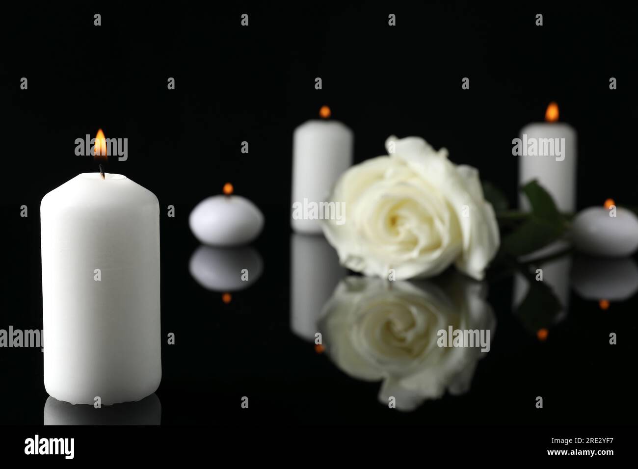 Weiße Rose und brennende Kerzen auf schwarzer Spiegeloberfläche bei Dunkelheit, Nahaufnahme mit Platz für Text. Begräbnissymbole Stockfoto