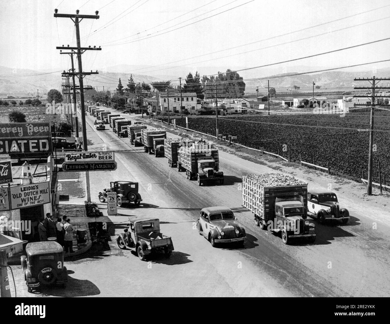 Salinas, Kalifornien: 17. September 1936. Salatlaster-Konvois auf dem Weg zum Markt wurden von bewaffneten Offizieren begleitet, als sie Salinas verließen. Stockfoto
