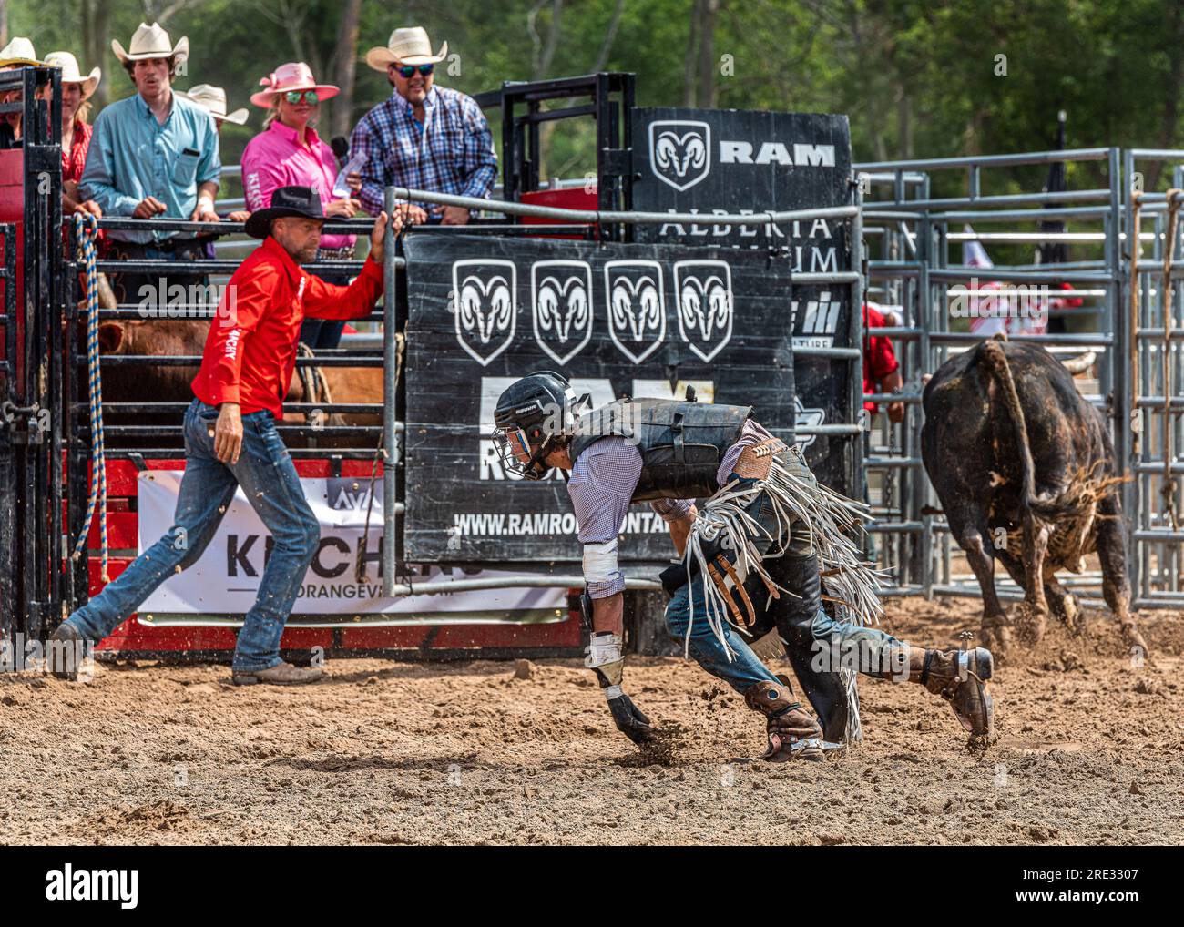Canada Rodeo. ERIN ONTARIO RAM RODEO am 2223. Juli fand in Erin