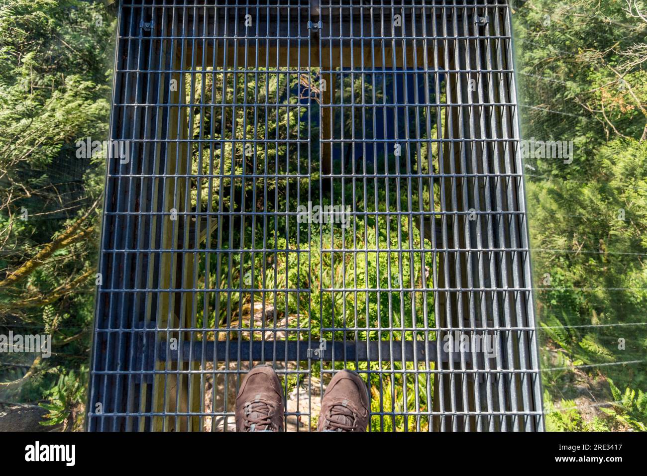 Sie stehen auf der Capilano Hängebrücke inmitten von Bäumen in Vancouver Stockfoto