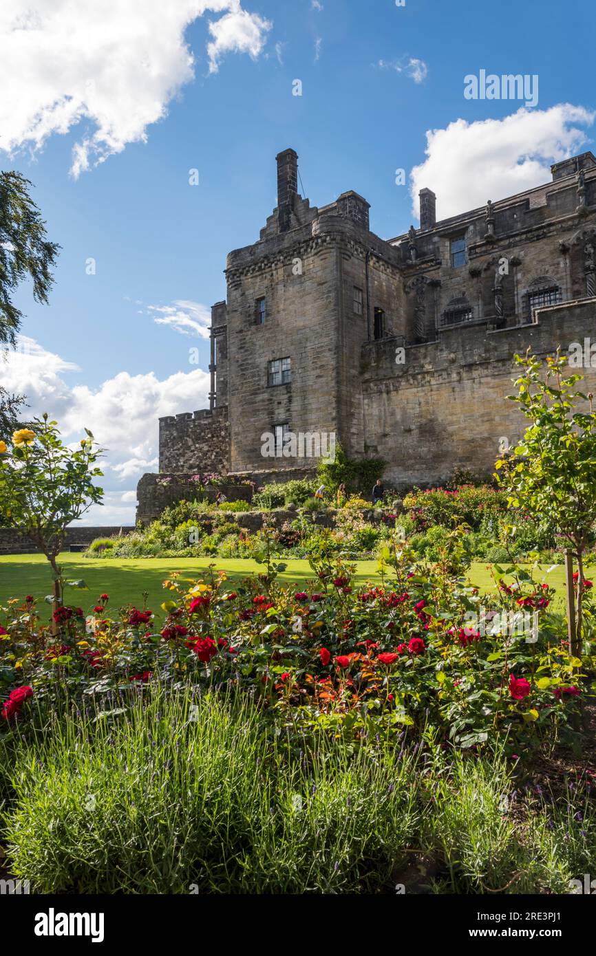 Der Queen Anne Garden am Stirling Castle stammt aus den 1400s Jahren. Die Gärten wurden Anfang C 17 in ein Bowling Green verwandelt. Stockfoto