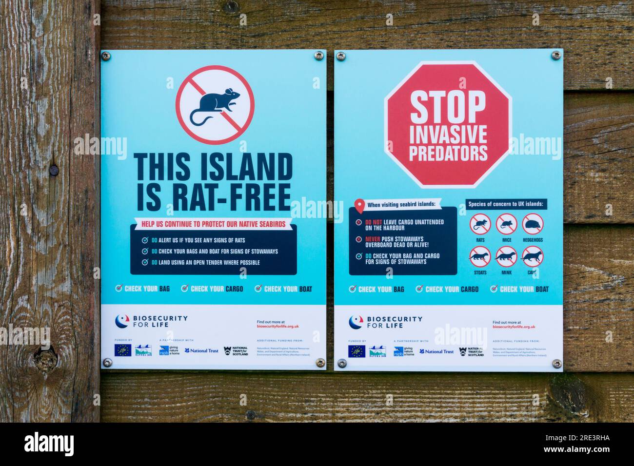 Schilder am Fährhafen auf Fetlar, Shetland, lesen Sie This Island is Rat-Free und Stop Invinvasive Predators. Stockfoto