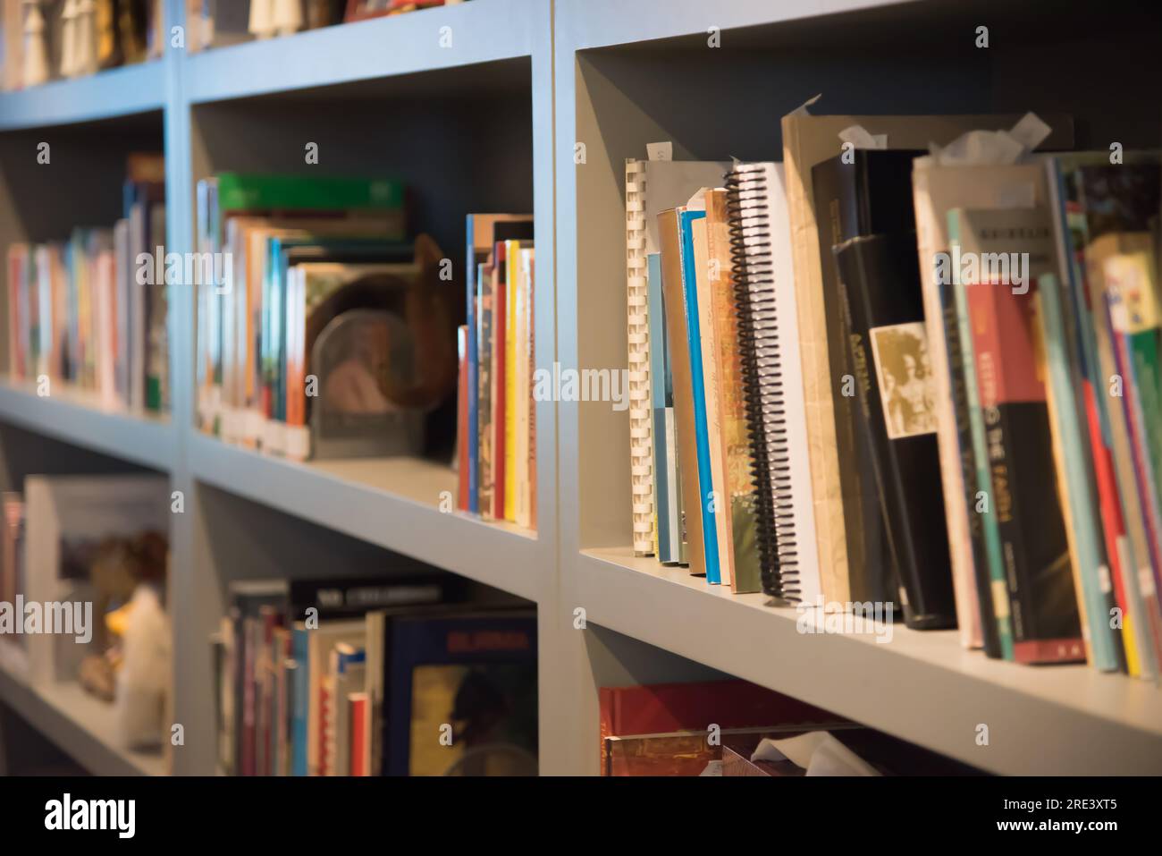 Bücher auf einem Bücherregal in einem Raum Stockfoto