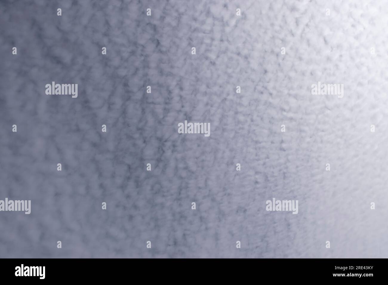 Homogene, deckenartige horizontale Schicht von Altocumulus-Stratiformia-Wolken. Gedämpft. Winter, Queensland, Australien. Hintergrund. Bereich Kopieren. Stockfoto