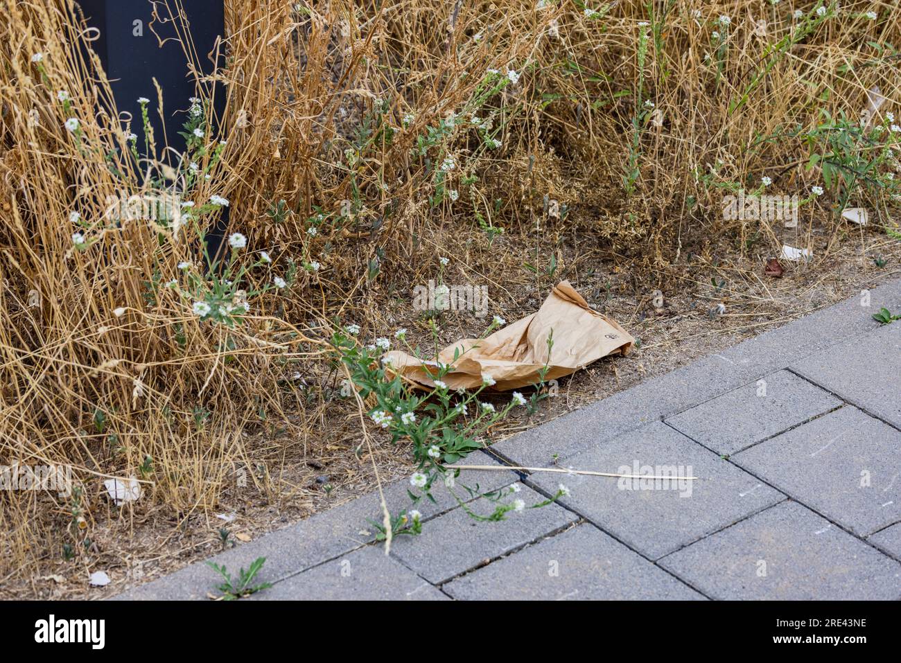 Verschmutzung durch Wegwerfen einer Papiertüte auf der Straße, Deutschland Stockfoto