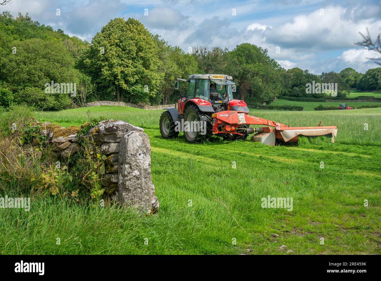 Mähen von Gras, Storth, Milnthorpe, Cumbria, Großbritannien Stockfoto