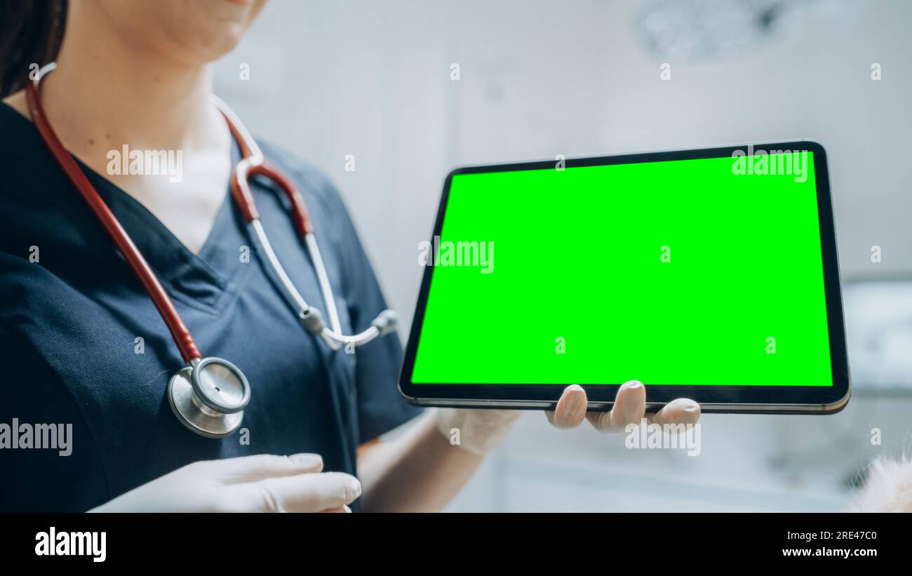 Weibliche und männliche Veterinäre, die Gesundheitsuntersuchungen auf einem Haustier durchführen. Fachtierarzt in einer modernen Veterinärklinik mit Green Screen Monitoren Stockfoto