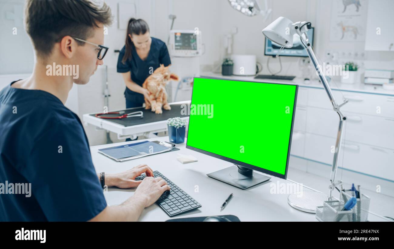 Weibliche und männliche Veterinäre, die Gesundheitsuntersuchungen auf einem Haustier durchführen. Fachtierarzt in einer modernen Veterinärklinik mit Green Screen Monitoren Stockfoto