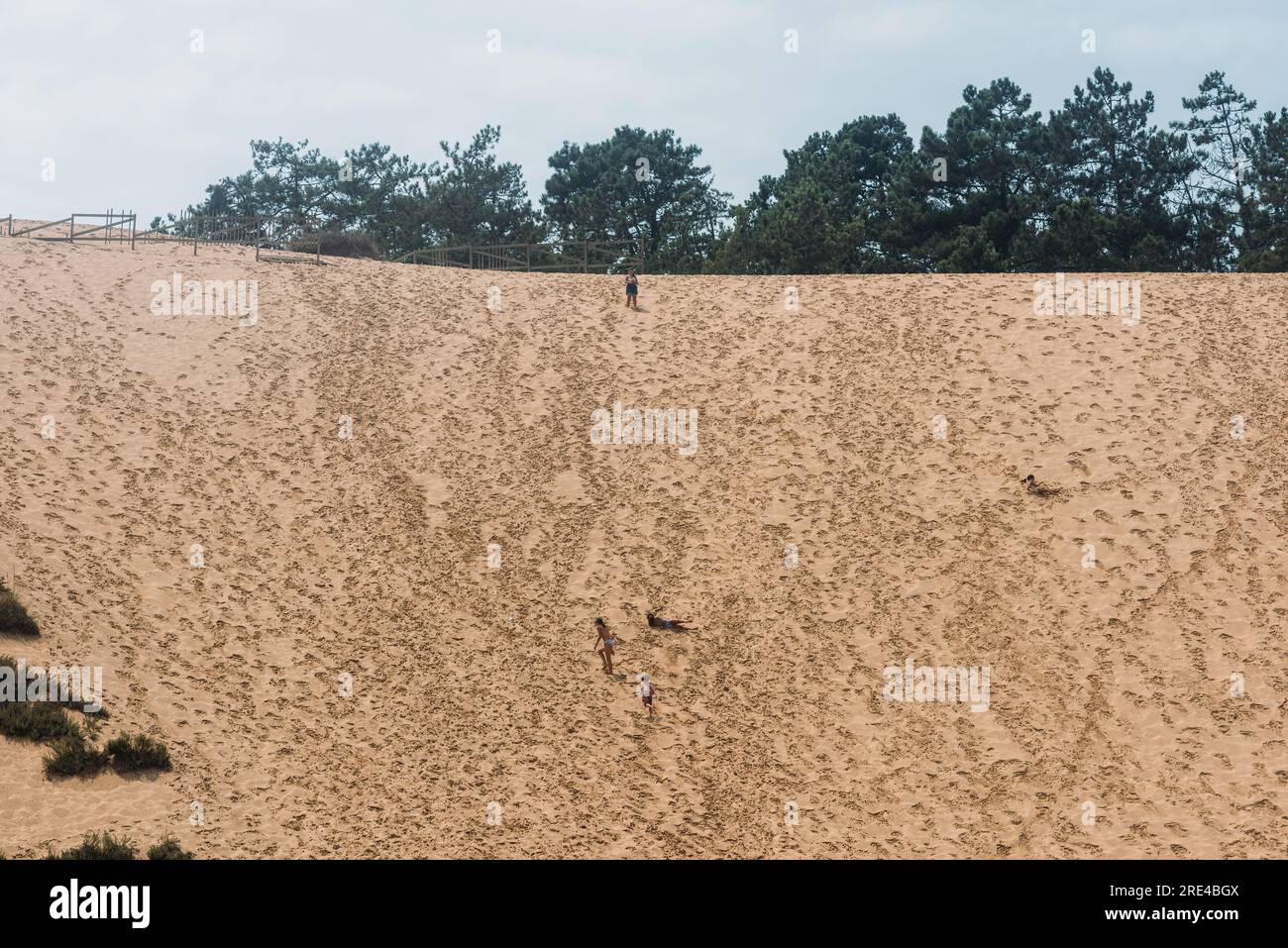 Dünen in der Nähe von Sao Martinho do Porto, Portugal Stockfoto