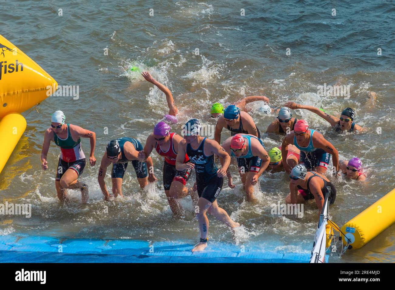 „Die Finals 2023" Triathlon Düsseldorf – Schwimmwettkampf Stockfoto