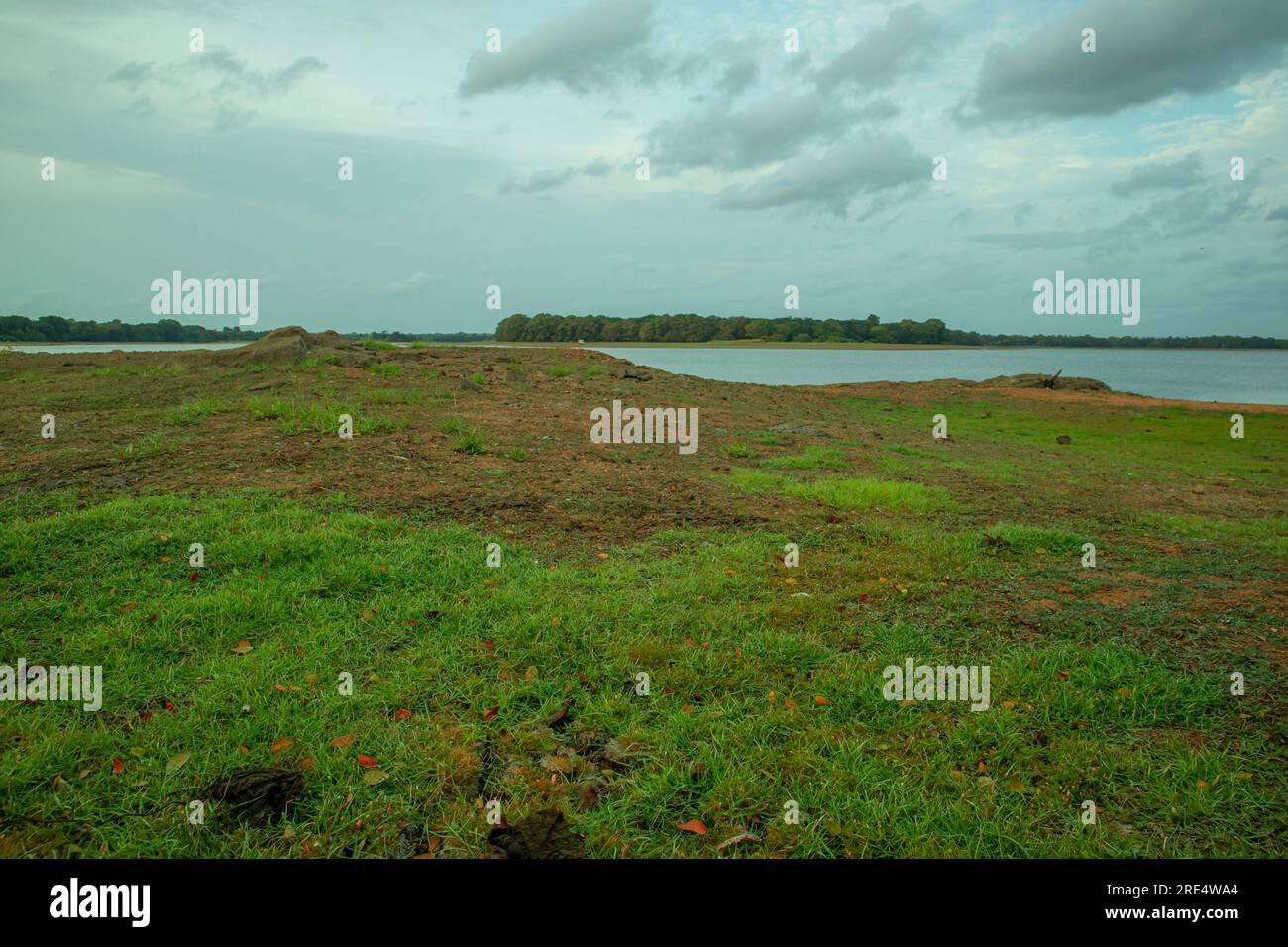 Landschaftsblick auf den See und das Grasfeld am Abend. Stockfoto