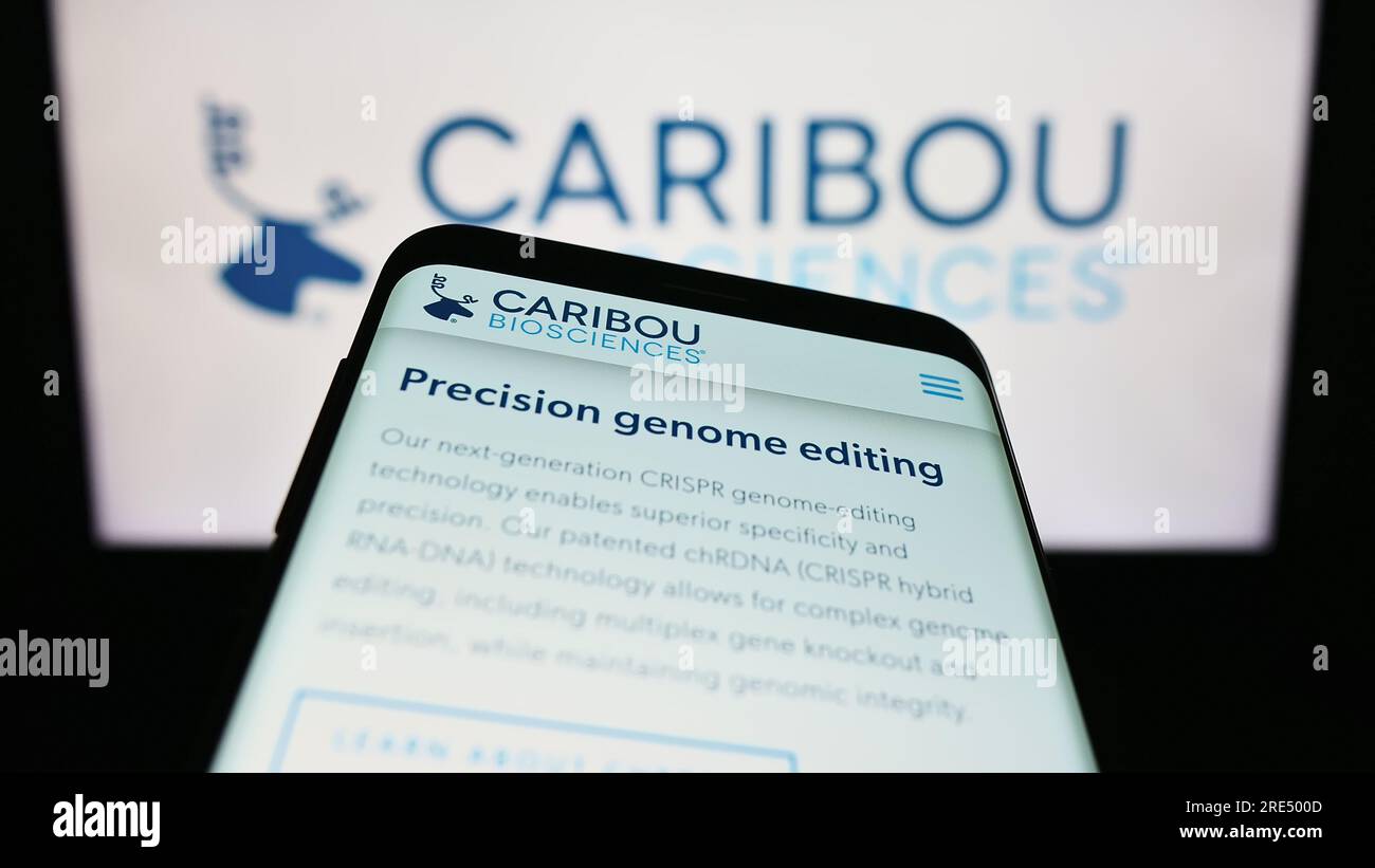 Mobiltelefon mit Website des US-Unternehmens Caribou Biosciences Inc. Auf dem Bildschirm vor dem Unternehmenslogo. Fokus auf oberer linker Seite des Telefondisplays. Stockfoto