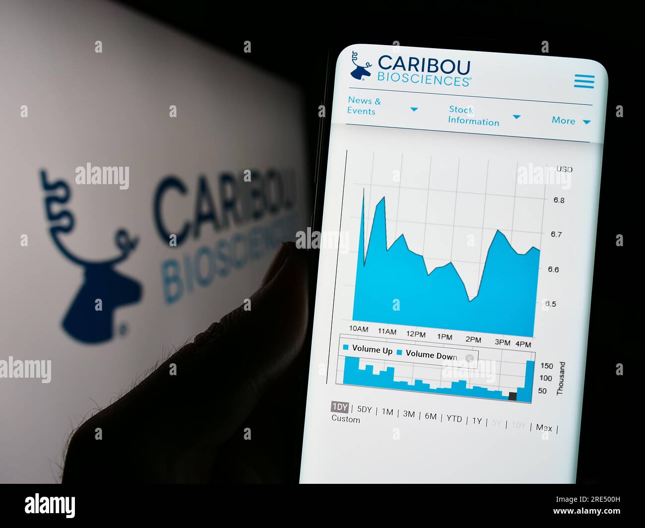 Person mit Smartphone und Webseite des US-Unternehmens Caribou Biosciences Inc. Auf dem Bildschirm vor dem Logo. Konzentrieren Sie sich auf die Mitte des Telefondisplays. Stockfoto