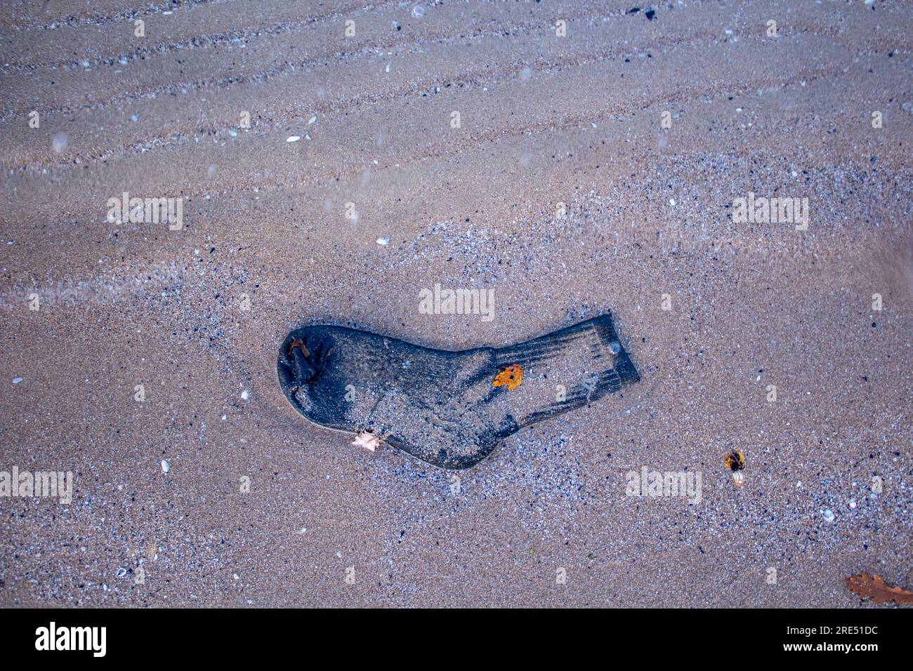 Schwarze Socke am Strand Stockfoto