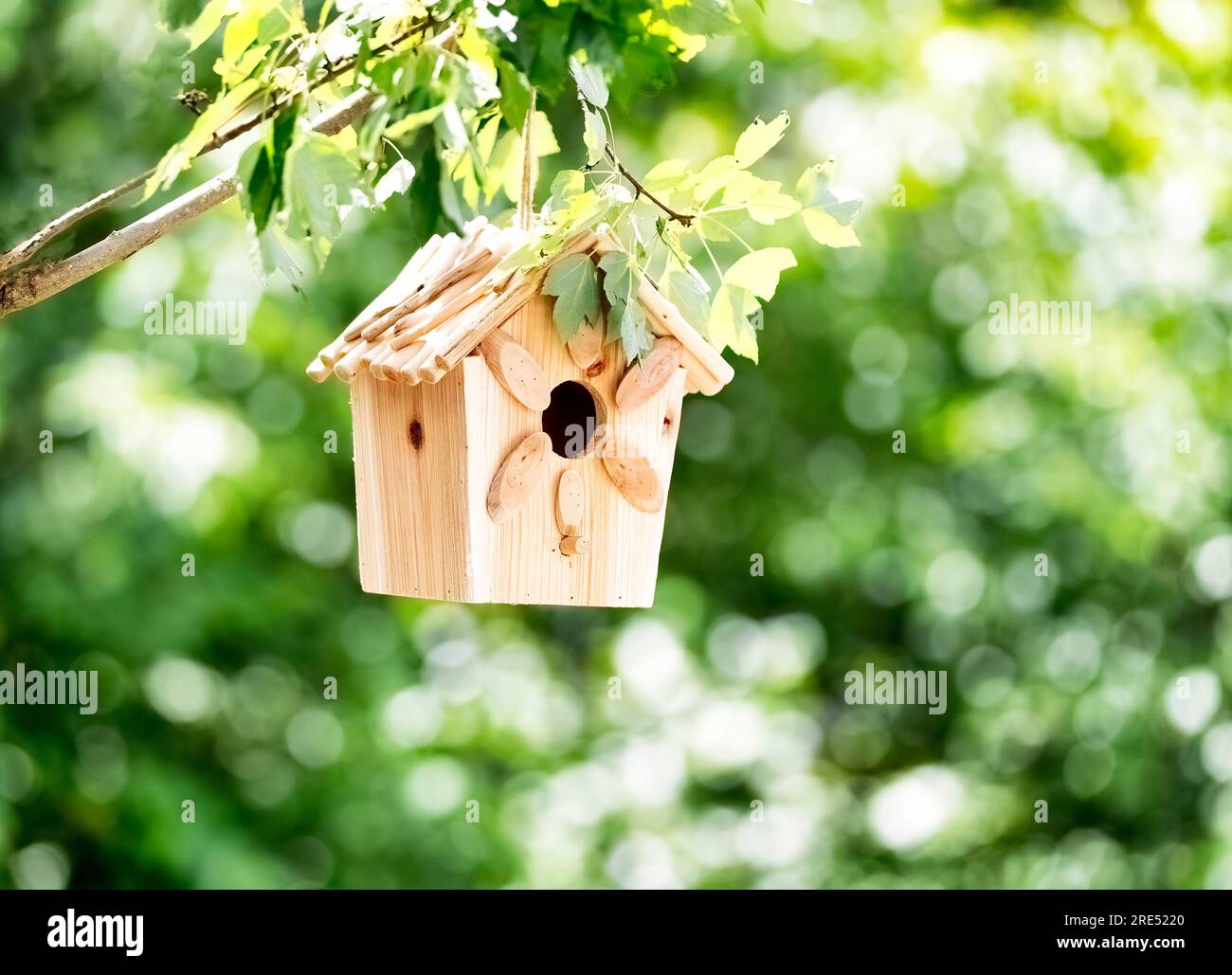 Neues Vogelhaus aus Holz hängt im Sommer am Ast mit hellgrünem Hintergrund Stockfoto