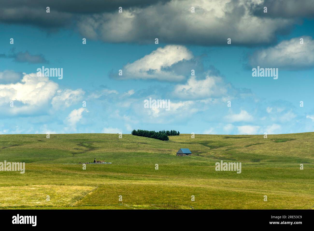 Farm (Buron) im Cezallier-Massiv, Regional Nature Park of Volcans d'Auvergne, Puy de Dome, Frankreich Stockfoto