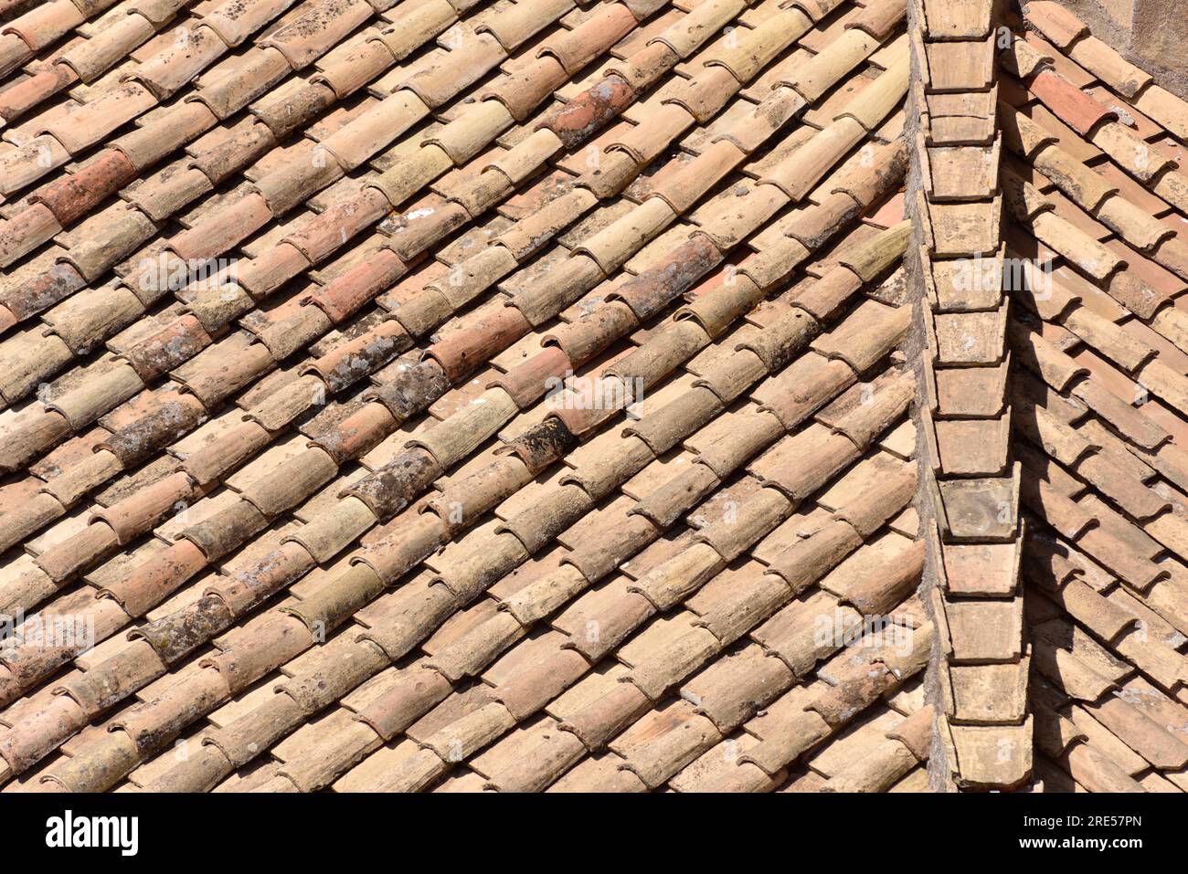 Rooftop, Rom, Italien Stockfoto