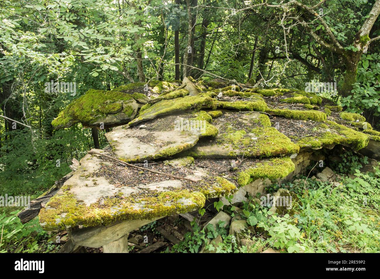 Mossiges Steinplattendach eines heruntergekommenen Landhauses Stockfoto