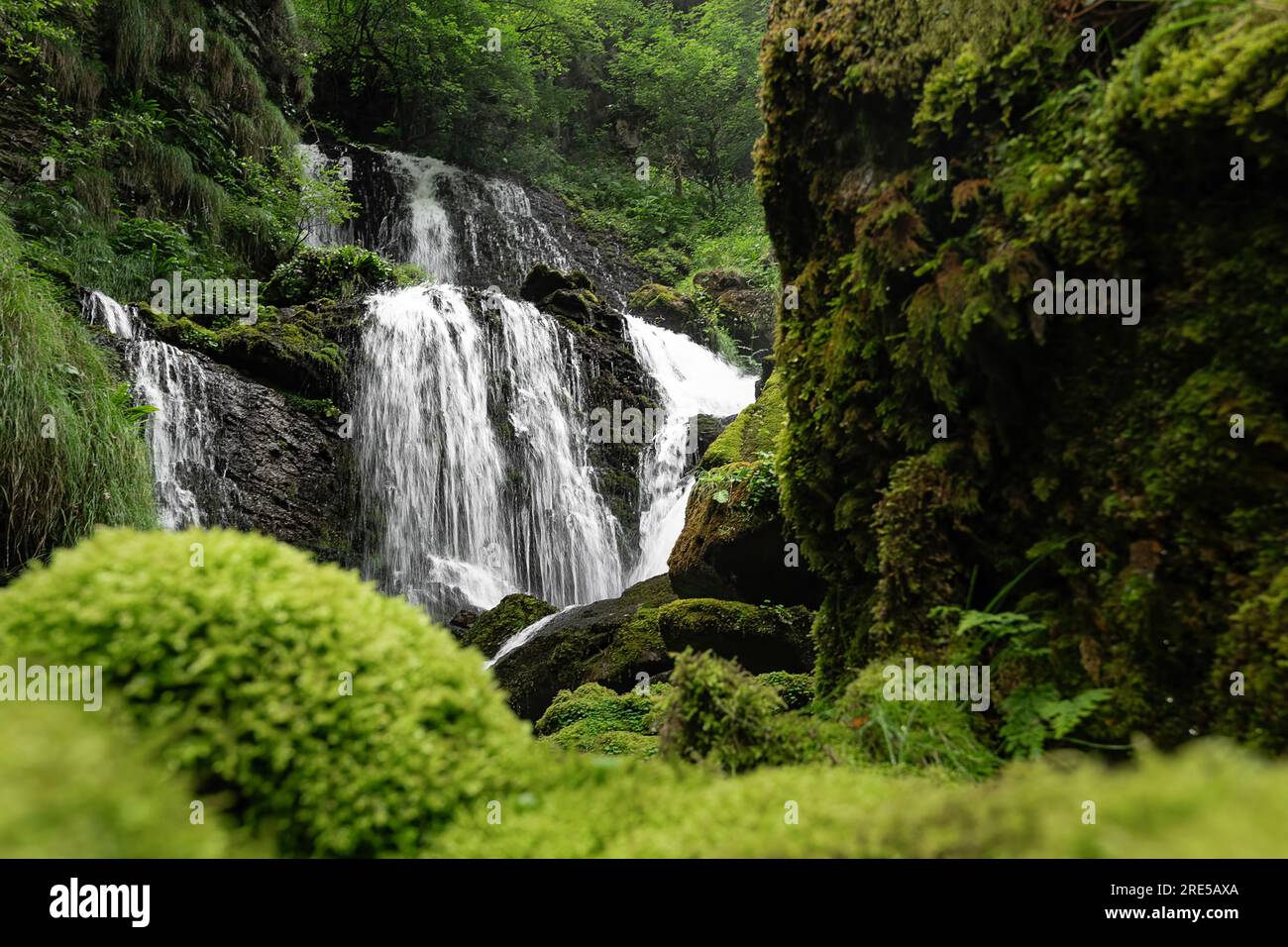 Die grünen Wasserfälle, die italienische Landschaft in den wilden Alpen Stockfoto