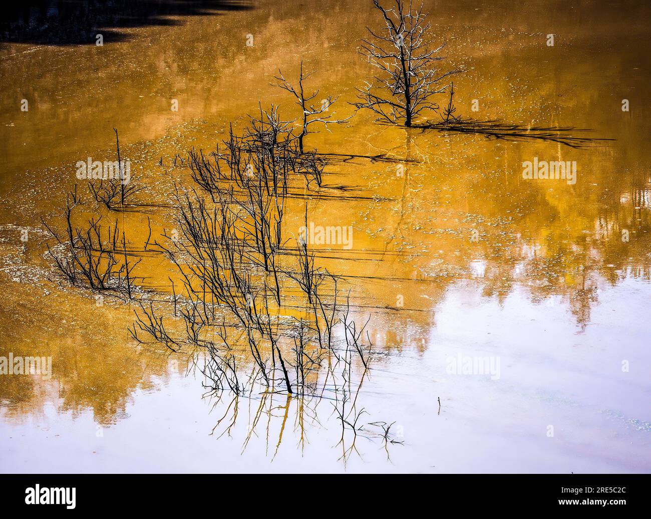 Dunkles, aber attraktives Wasser Stockfoto