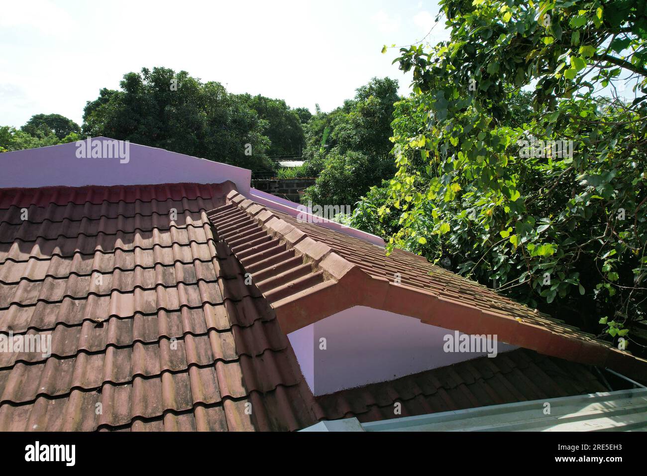 Rote Lehm-Dachziegel auf grünen Bäumen Hintergrund aus der Vogelperspektive Stockfoto