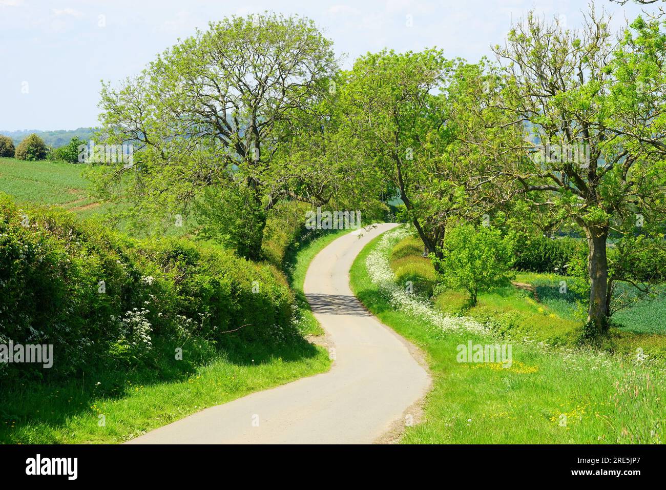 Landstraße in der Nähe von Hanging Houghton Stockfoto