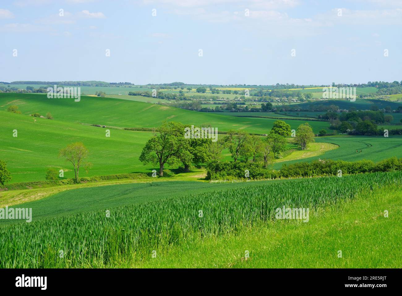 Die Landschaft von Northamptonshire in der Nähe von Haselbech Stockfoto