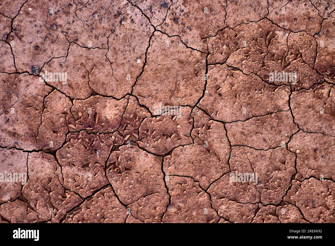 Gerissener trockener roter Boden, Herausforderungen des Klimawandels und der Klimakrise. Stockfoto