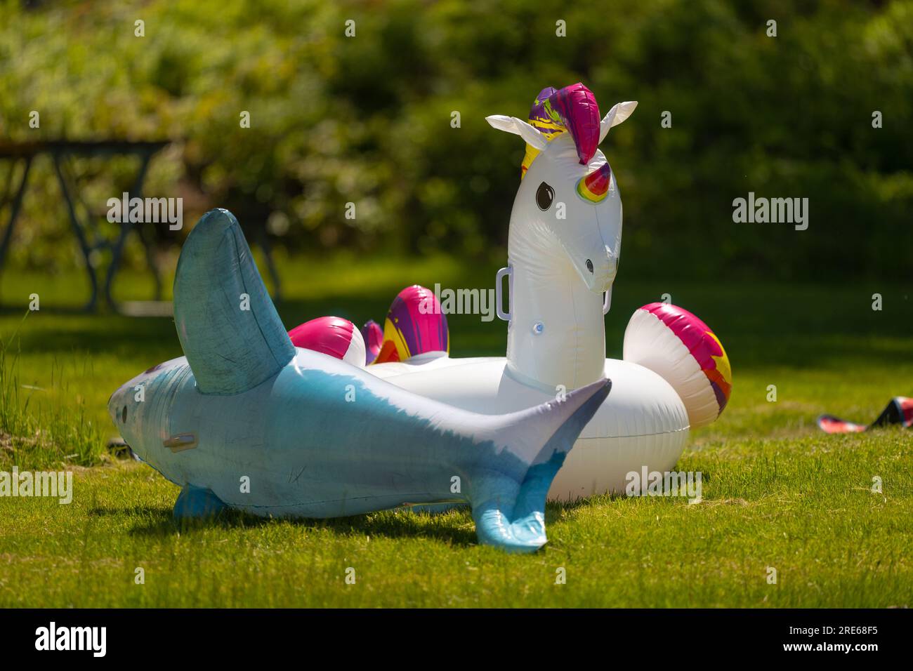 Aufblasbare Flöße in Form eines Einhorns und ein Hai auf Gras Stockfoto