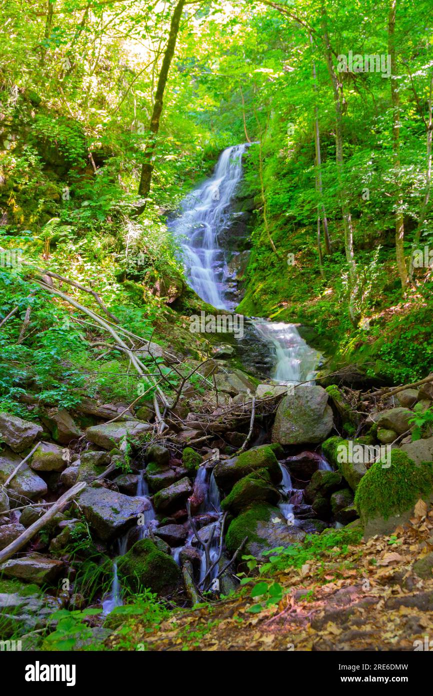 Wagen Sie sich in eine magische Welt der Waldwasserfälle, wo die Kunst der Natur atemberaubende türkisfarbene Seen enthüllt. Tauchen Sie ein in das ruhige B Stockfoto