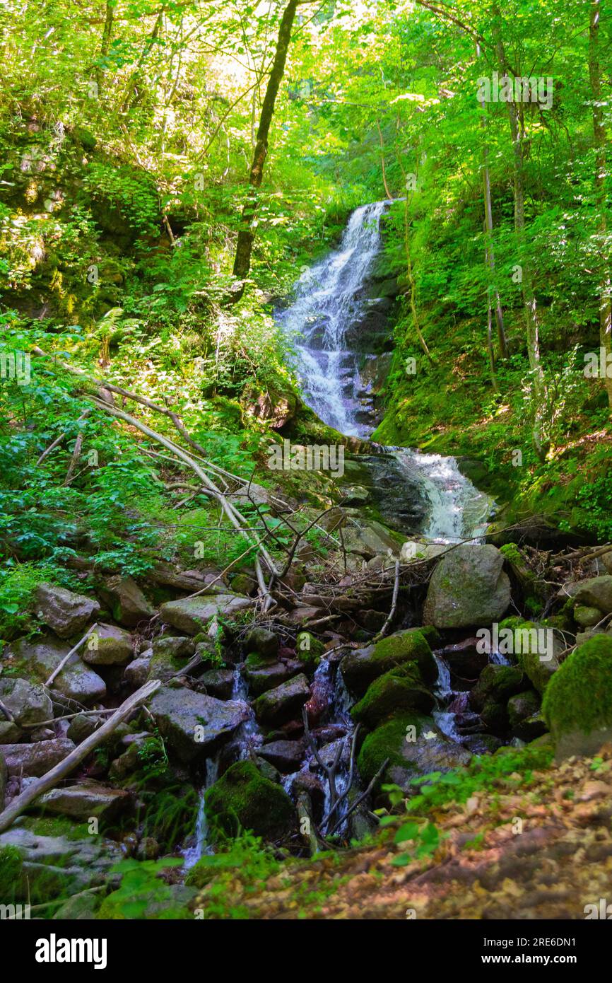 Wagen Sie sich in eine magische Welt der Waldwasserfälle, wo die Kunst der Natur atemberaubende türkisfarbene Seen enthüllt. Tauchen Sie ein in das ruhige B Stockfoto