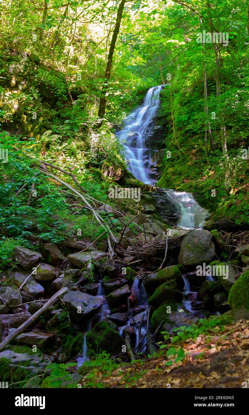 Wagen Sie sich in eine magische Welt der Waldwasserfälle, wo die Kunst der Natur atemberaubende türkisfarbene Seen enthüllt. Tauchen Sie ein in das ruhige B Stockfoto