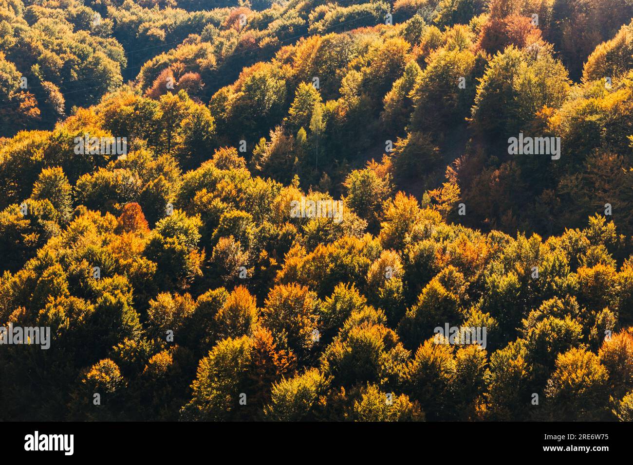 Leuchtende Herbstfarben in den Hügeln von Vodno, Nordmazedonien Stockfoto