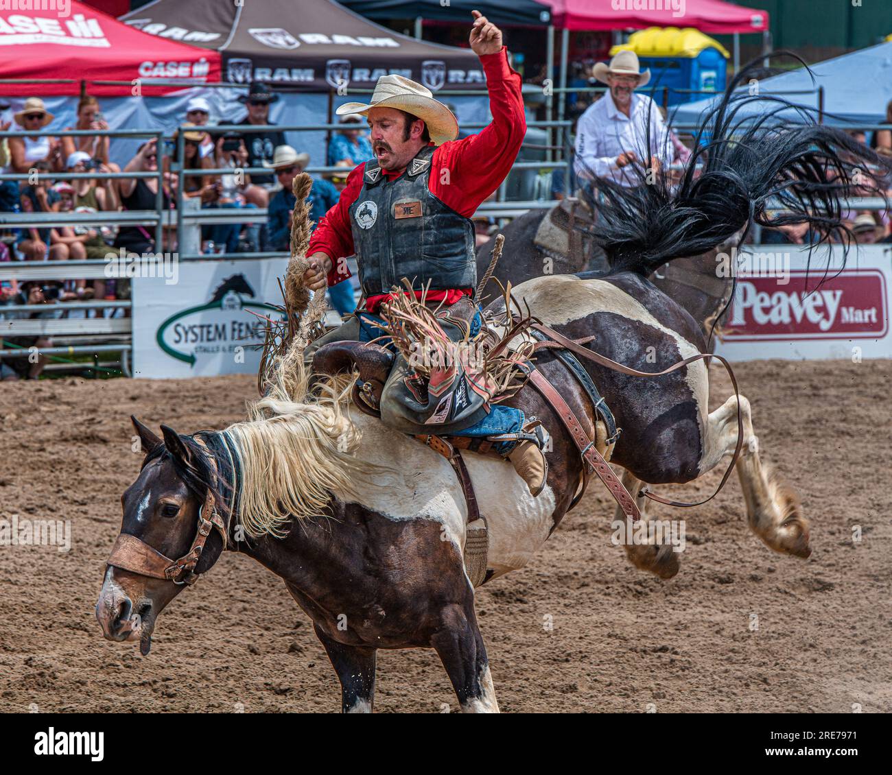 Amerikanisches Rodeo, das heute im Westen der USA und Kanada besonders beliebt ist. Aus der Arbeit mit Rindern. Stockfoto