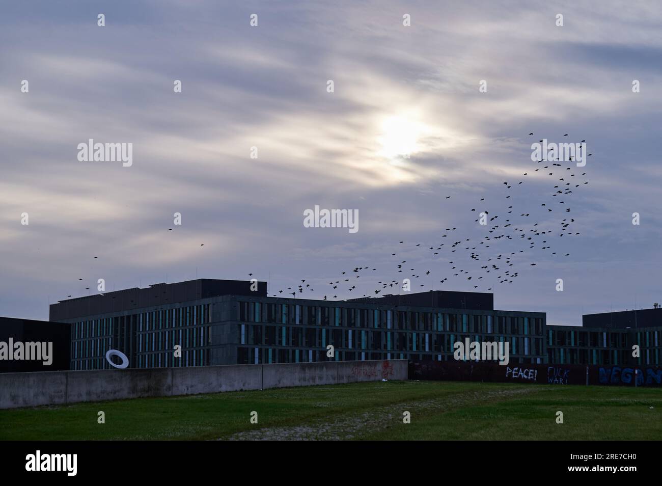 Berlin, Deutschland. 26. Juli 2023. Vögel fliegen über den Spreebogenpark, während die Sonne heute Morgen schwer durch die dichte Wolkendecke zu kommen ist. In den nächsten Tagen wird das Wetter unruhig und nass sein. Kredit: Annette Riedl/dpa/Alamy Live News Stockfoto