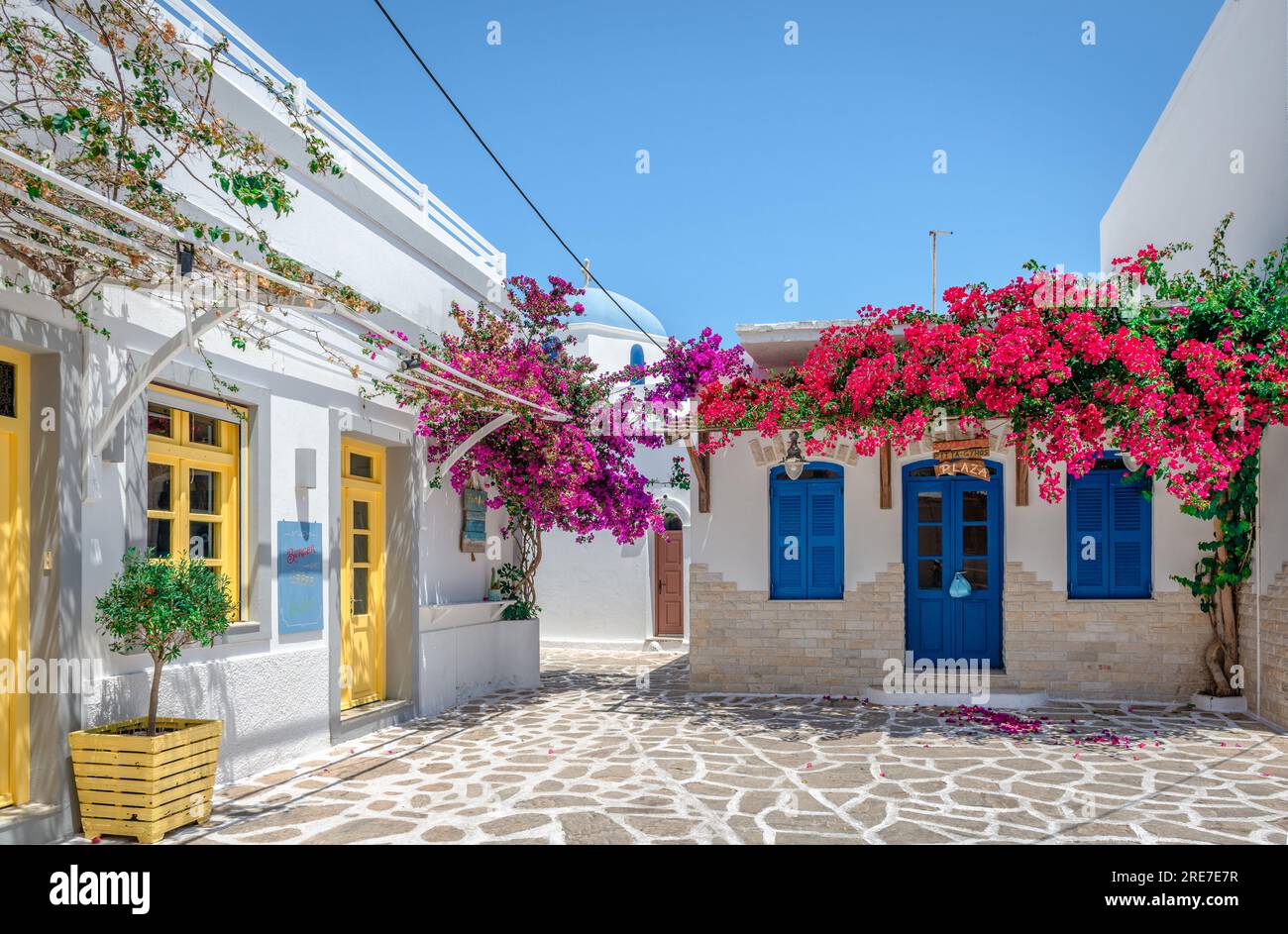 Antiparos, Griechenland - Juni 23 2023: Traditionelle weiß getünchte Häuser in Kopfsteinpflastergasse mit Bougainvillea-Bäumen. Stockfoto