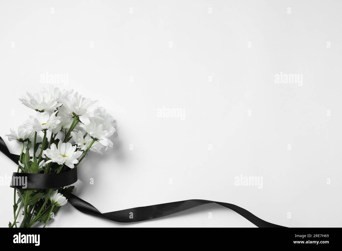 Wunderschöne Chrysanthemen und schwarzes Band auf weißem Hintergrund, Draufsicht mit Platz für Text. Begräbnissymbole Stockfoto