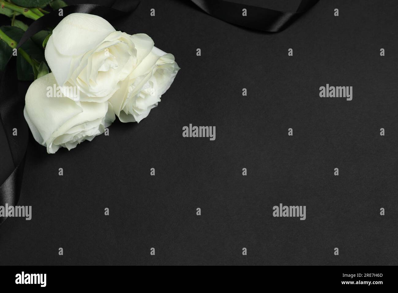 Schöne Rosen und ein Band auf schwarzem Hintergrund, Platz für Text. Begräbnissymbole Stockfoto