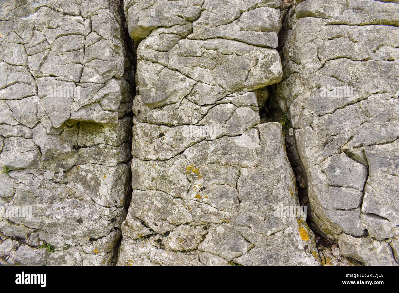 Kalkstein auf Birkrigg Common. Stockfoto