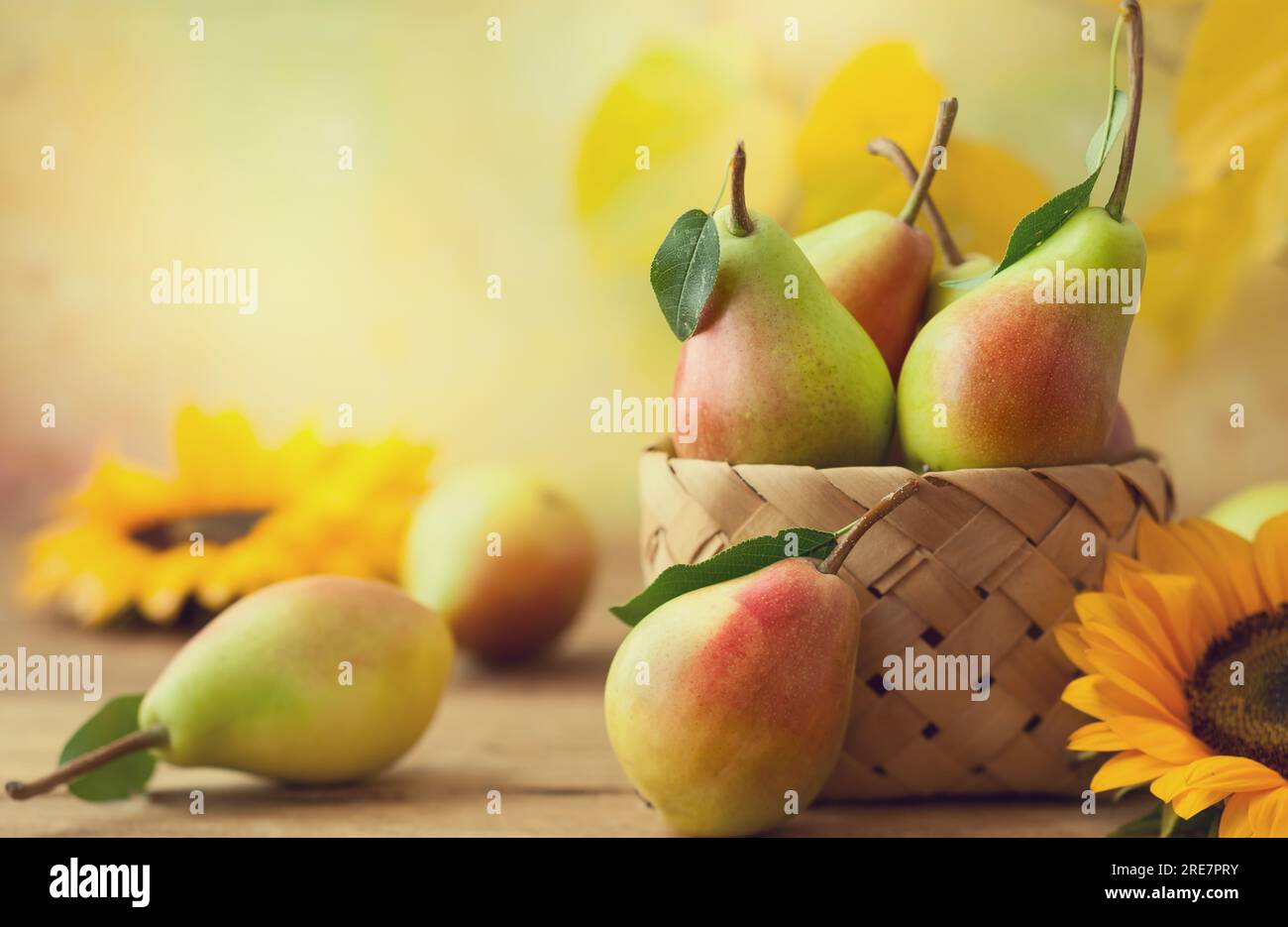 Frische, reife Birnen im Korb auf dem Holztisch. Bio-Früchte, Konzept der gesunden Ernährung mit Kopierraum. Stockfoto