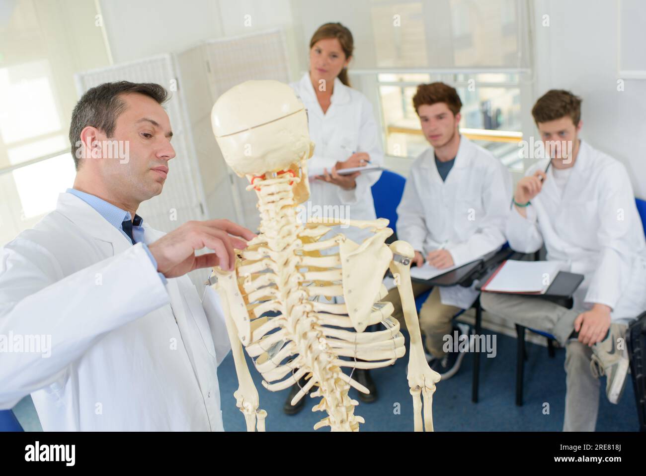 Student und Lehrer im Medizinstudium - Skelettsystem Stockfoto